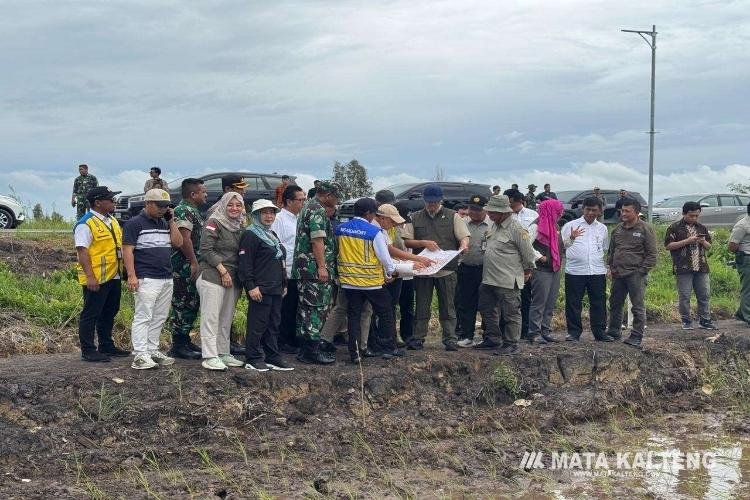 Dinas-TPHP-Kalteng-Siap-Mendukung-Swasembada-Pangan-Nasional.jpg FOTO: IST/MATAKALTENG - Kepala Dinas Tanaman Pangan, Hortikultura dan Peternakan (TPHP) Provinsi Kalimantan Tengah (Kalteng) Hj. Sunarti, saat mendampingi kunjungan kerja Menteri Transmigrasi, Muhammad Iftitah Sulaiman Suryanagara, ke Kecamatan Dadahup, Kabupaten Kapuas.