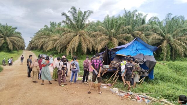 FOTO: AGUS/MATAKALTENG - Pondok milik warga yang dirusak oleh oknum, diatas lahan sengketa warga dan PT SKD.