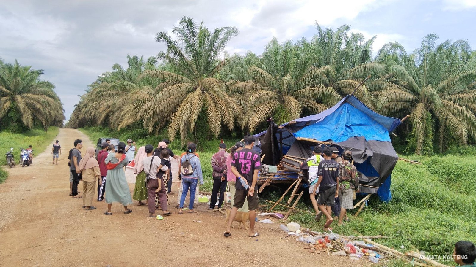 FOTO: AGUS/MATAKALTENG - Pondok milik warga yang dirusak oleh oknum, diatas lahan sengketa warga dan PT SKD.