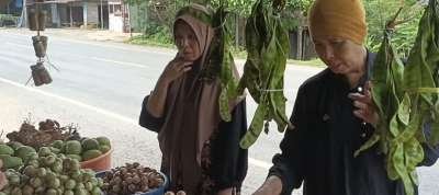 Ternyata Buah Kalangkala memiliki Segudang Khasiat