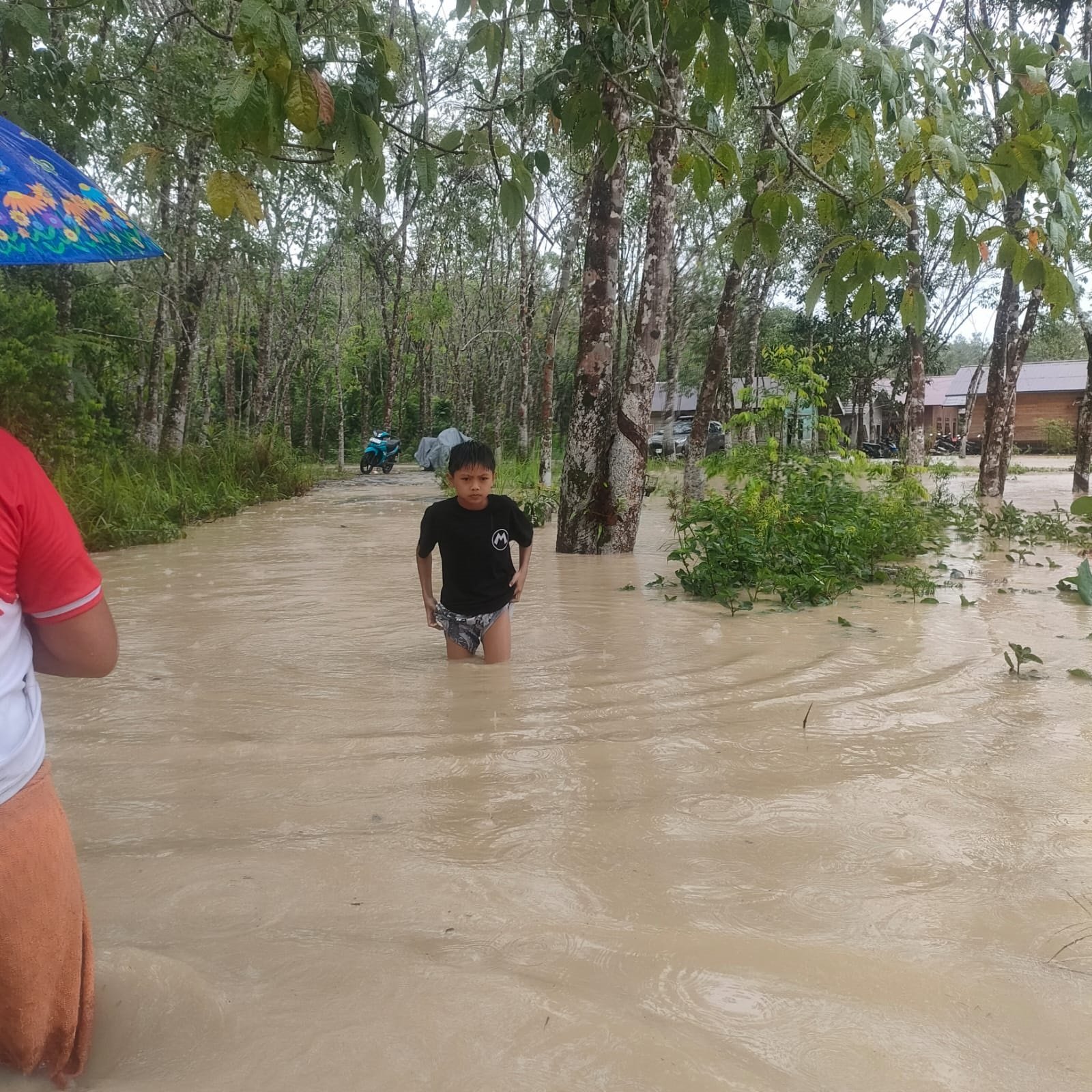 Dua-Kecamatan-di-Gumas-Dilanda-Banjir.jpg Dua