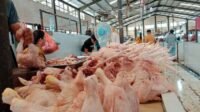30 Ton Daging Ayam Disiapkan untuk Pasokan Idulfitri di Tarakan