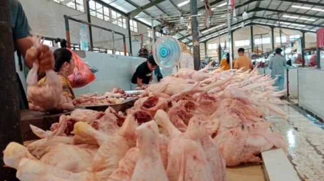 30 Ton Daging Ayam Disiapkan untuk Pasokan Idulfitri di Tarakan