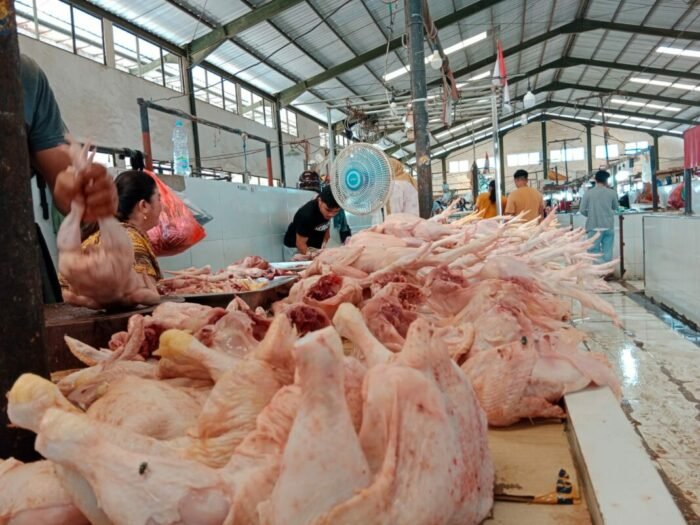 30 Ton Daging Ayam Disiapkan untuk Pasokan Idulfitri di Tarakan
