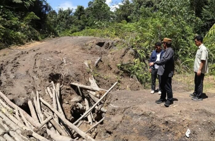 Gubernur Kaltara Dorong Percepatan Akses Jalan ke Krayan dan Apau Kayan