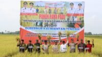 Gubernur dan Forkopimda Turun ke Sawah
