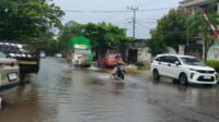 Hujan Lebat di Kotim, 40 Rumah dan SD Terendam